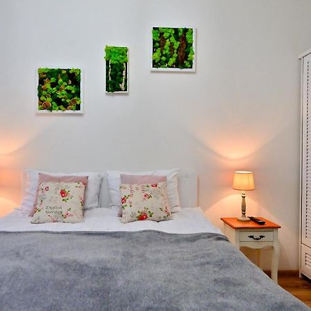 Transilvania Apartment Сибиу Экстерьер фото