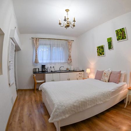 Transilvania Apartment Сибиу Экстерьер фото