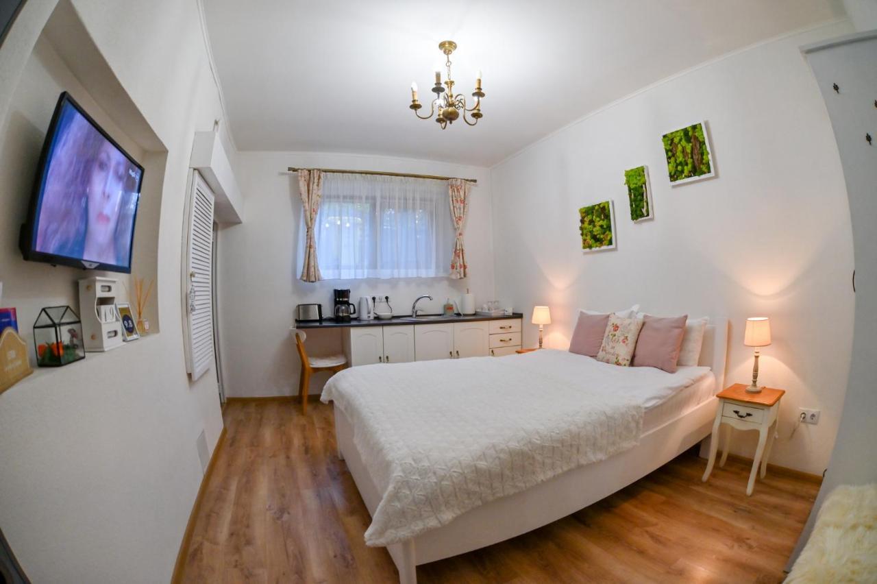 Transilvania Apartment Сибиу Экстерьер фото