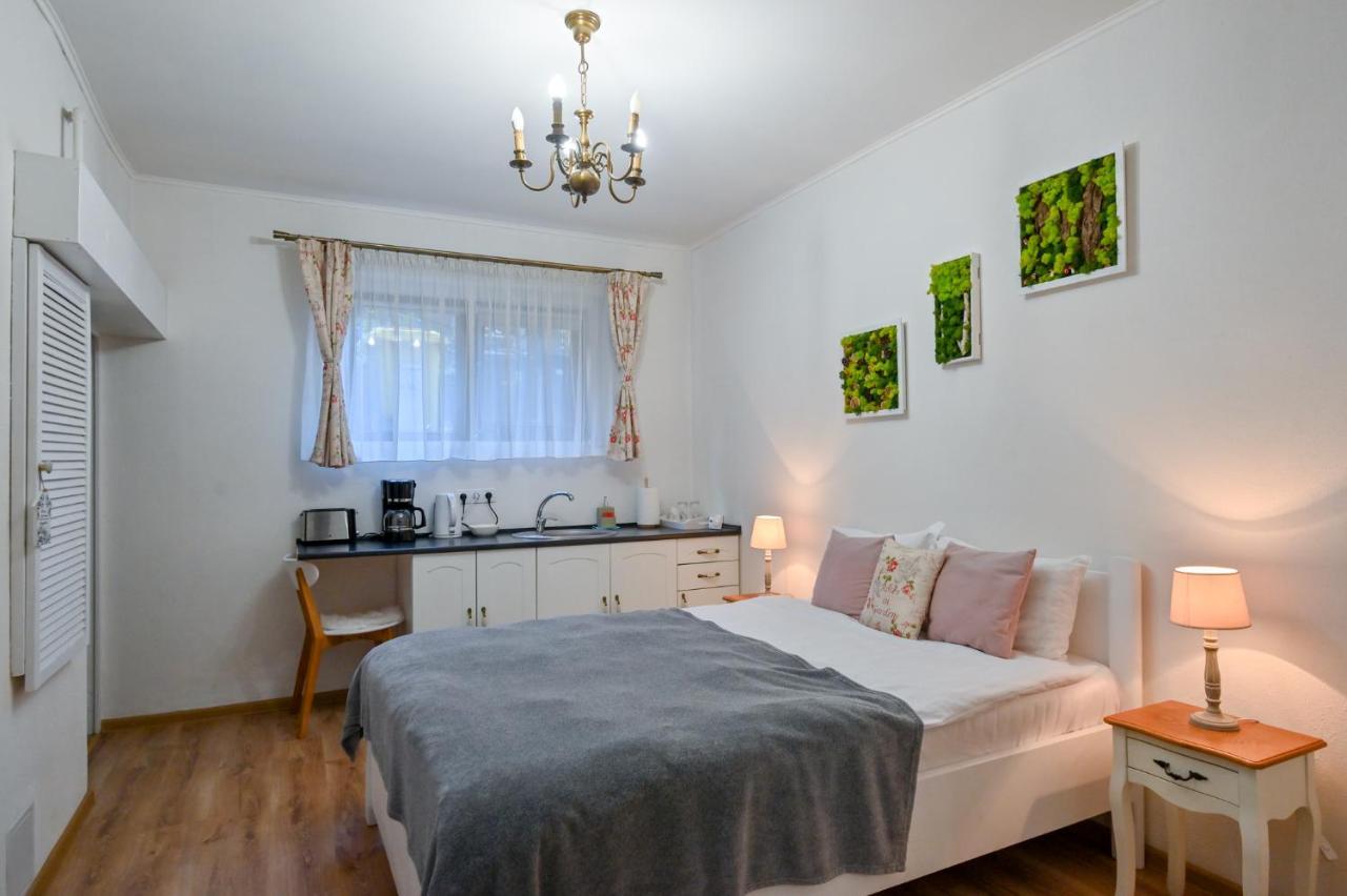 Transilvania Apartment Сибиу Экстерьер фото