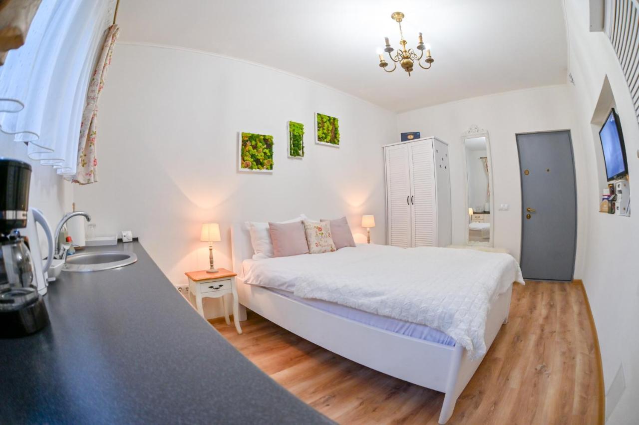 Transilvania Apartment Сибиу Экстерьер фото
